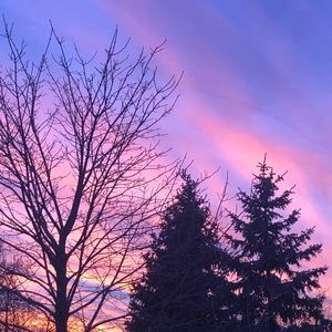 Meet your Posher, Rigney